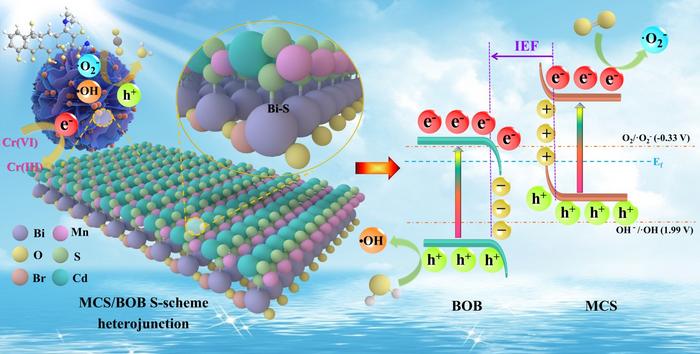 SCHEMATIC DIAGRAM OF PHOTOCATALYTIC WATER DECONTAMINATION MECHANISM