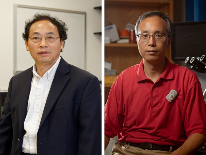 Zhifeng Ren and Jiming Bao [IMAGE] | EurekAlert! Science News Releases