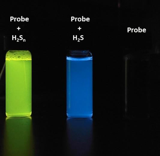 Visualizing Hydrogen Sulfide and Hydrogen Polysulfides