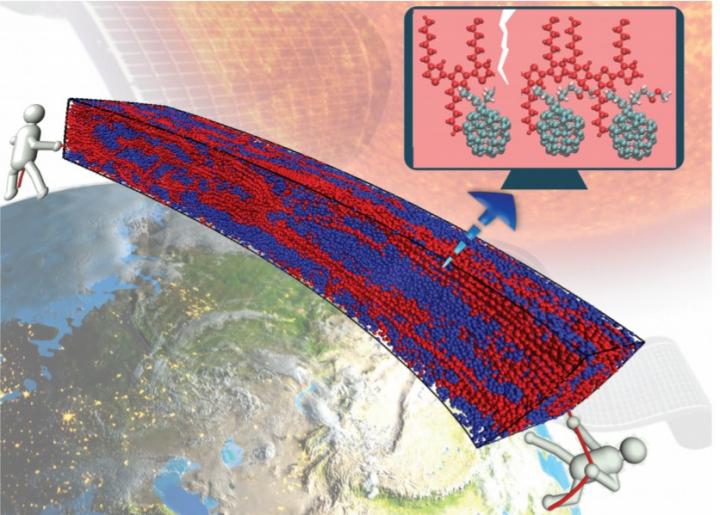 Elasto-Morphology of P3HT:PCBM Bulk Heterojunction Organic Solar Cells