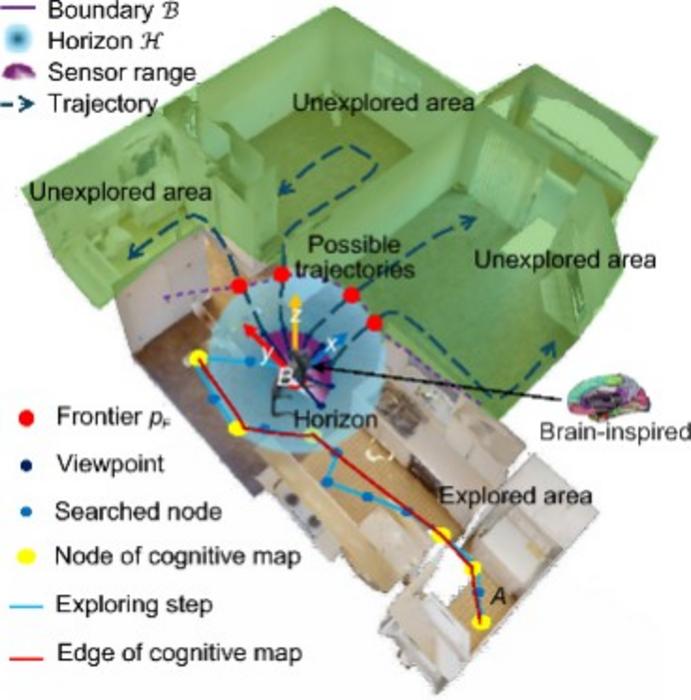 The expanding process diagram when a brain-inspired agent begins the autonomous exploring process and builds the experience map.