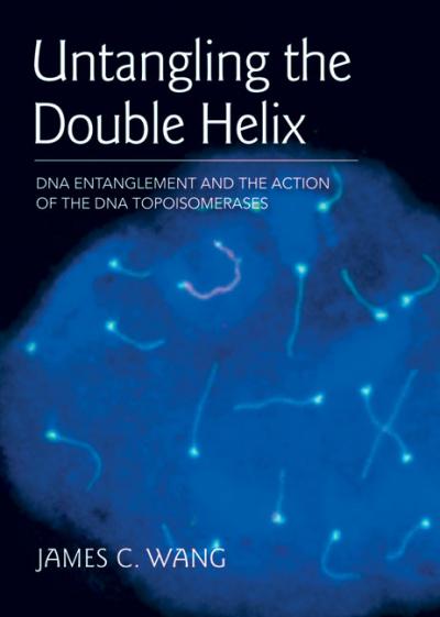 'Untangling the Double Helix'