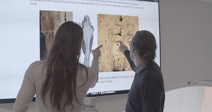 The untold history of the horse in the American Plains, a new future for the world