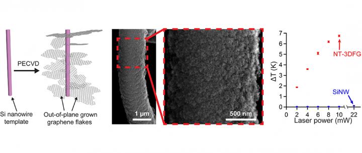 Graphene Flakes on Silicon Nanowires