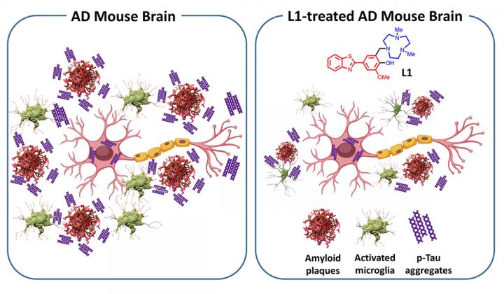 Alzheimer's Compound, L1