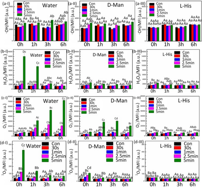 Scientists Find Key Role of 1O2 in Synergistic Antimicrobial Mechanism