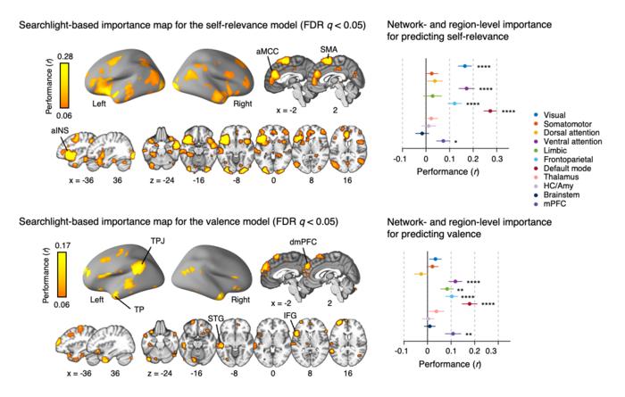 Figure 2. Important features of the self-relevance and valence models (virtual isolation analysis)