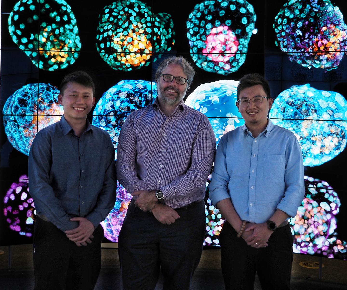 iBlastoid Researchers