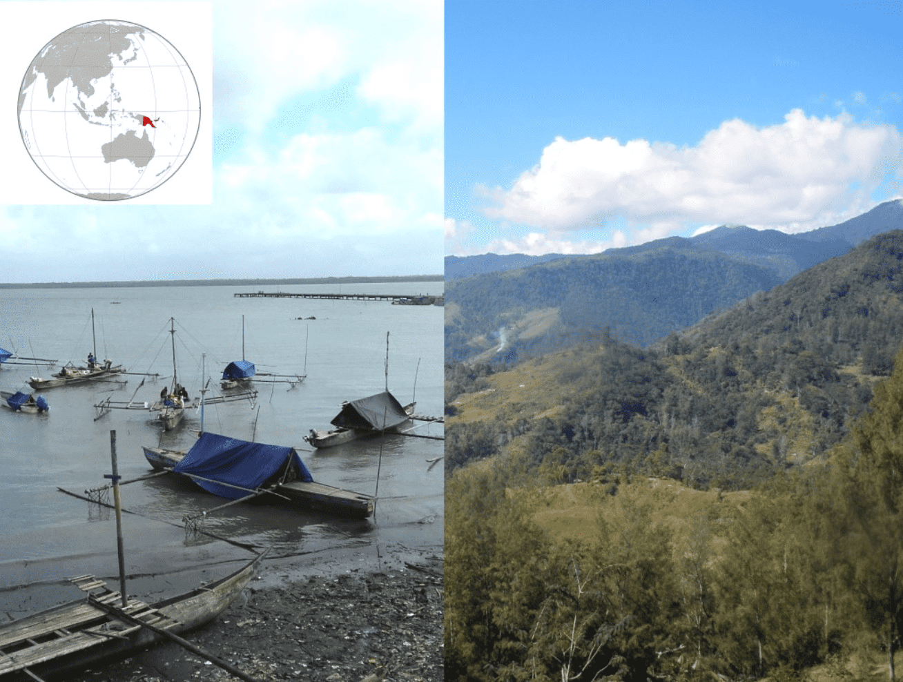 Boats in Daru Island (left) and view of the highlands of Papua New Guinea (right). (Photo by Dr F.-X. Ricaut, Centre de Recherche sur la Biodiversité et l'Environnement, University of Toulouse, France)