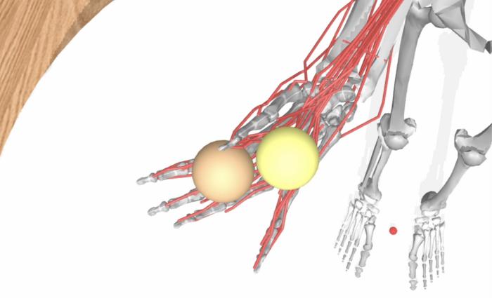 AI Model of Hand Movement