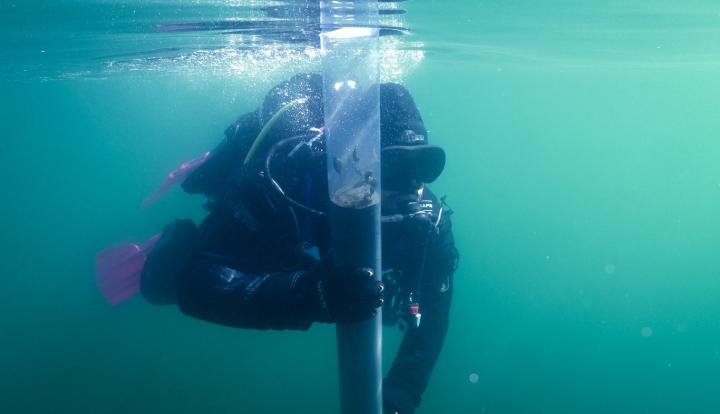 Divers Taking Samples in the Mar Menor (Spain), Last Week (2 of 2)