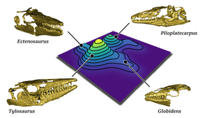 3D visualisation of the most common functional morphologies found in mosasaurs