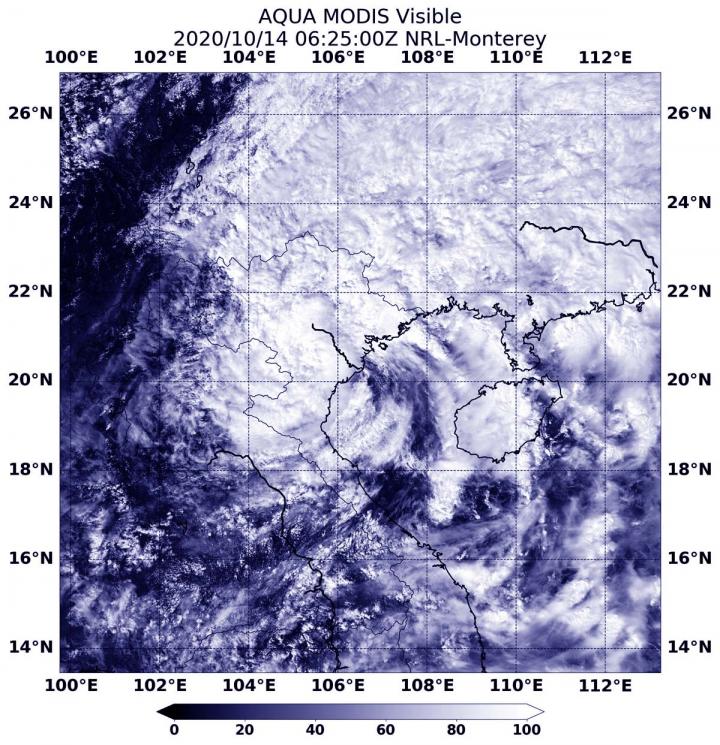 Aqua image of Nangka