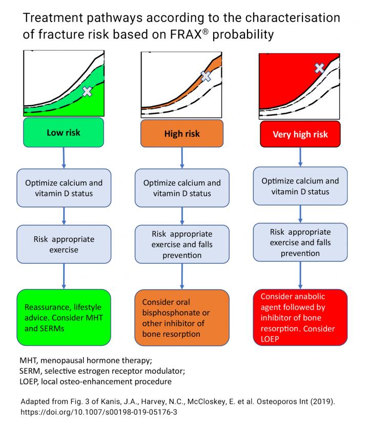 Treatment Pathways According to the Characterisation of Fracture Risk Based on FRAX® Probability