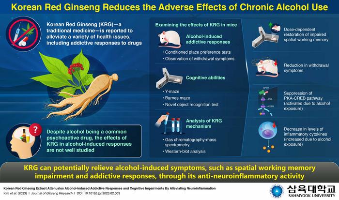 Ginseng extract alleviates alcohol-induced addictive responses