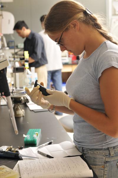 Kinsley French, Rensselaer Polytechnic Institute