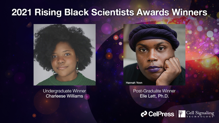 Winners of 2021 Rising Black Scientists Awards