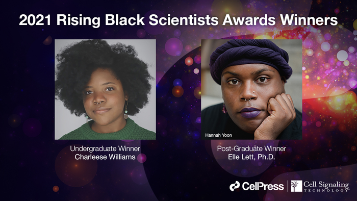 2021 Winners Of The Rising Black Scientists A Eurekalert