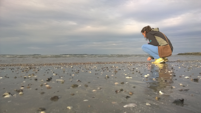 Johanna Klughammer collecting samples