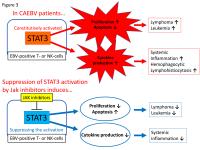 Figure 3 STAT3 Can be a Therapeutic Target of Chronic Active EBV Infection (CAEBV)