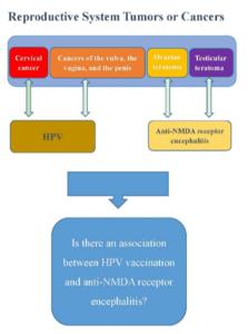 reproductive system cancers or tumors in HPV