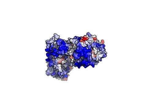 New 3-D Method Improves the Study of Proteins
