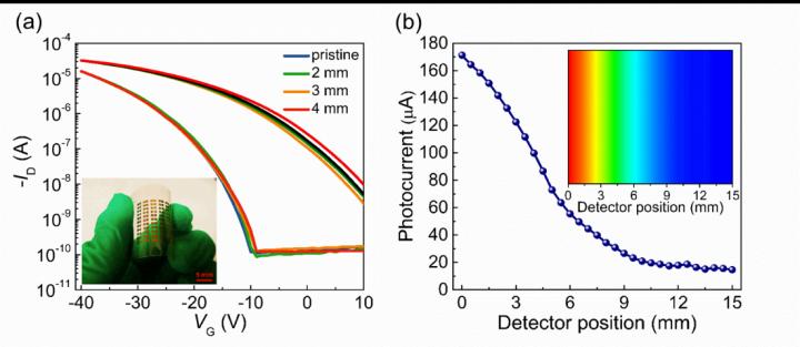 Ultrasensitive Organic Phototransistors Based on Novel Hybrid-Layered Architecture