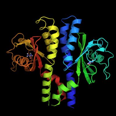 How <i>H. pylori</i> Reads Stomach Acid Levels