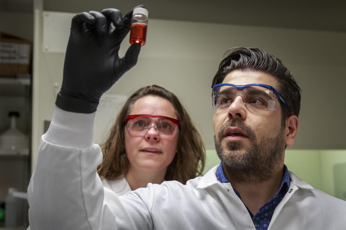 Photo of Researchers in Lab