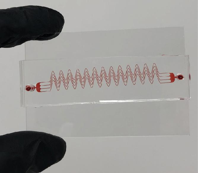 Jain microfluidic