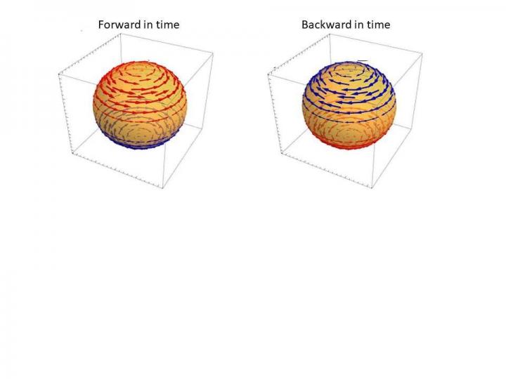 Magnetic Fields