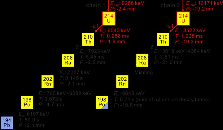 Observed &alpha;-decay chains