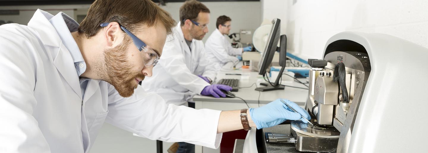 Characterizing Paragraf Graphene Using a Range of Techniques