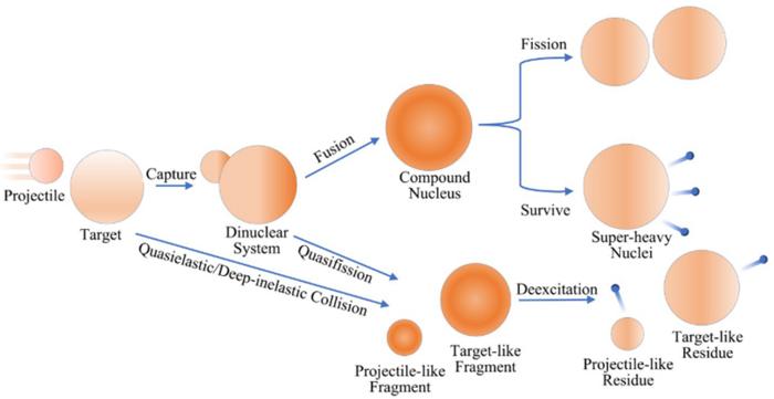 Evolution of nuclear system in fusion and MNT reactions.