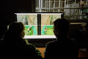 MooLoo observer room