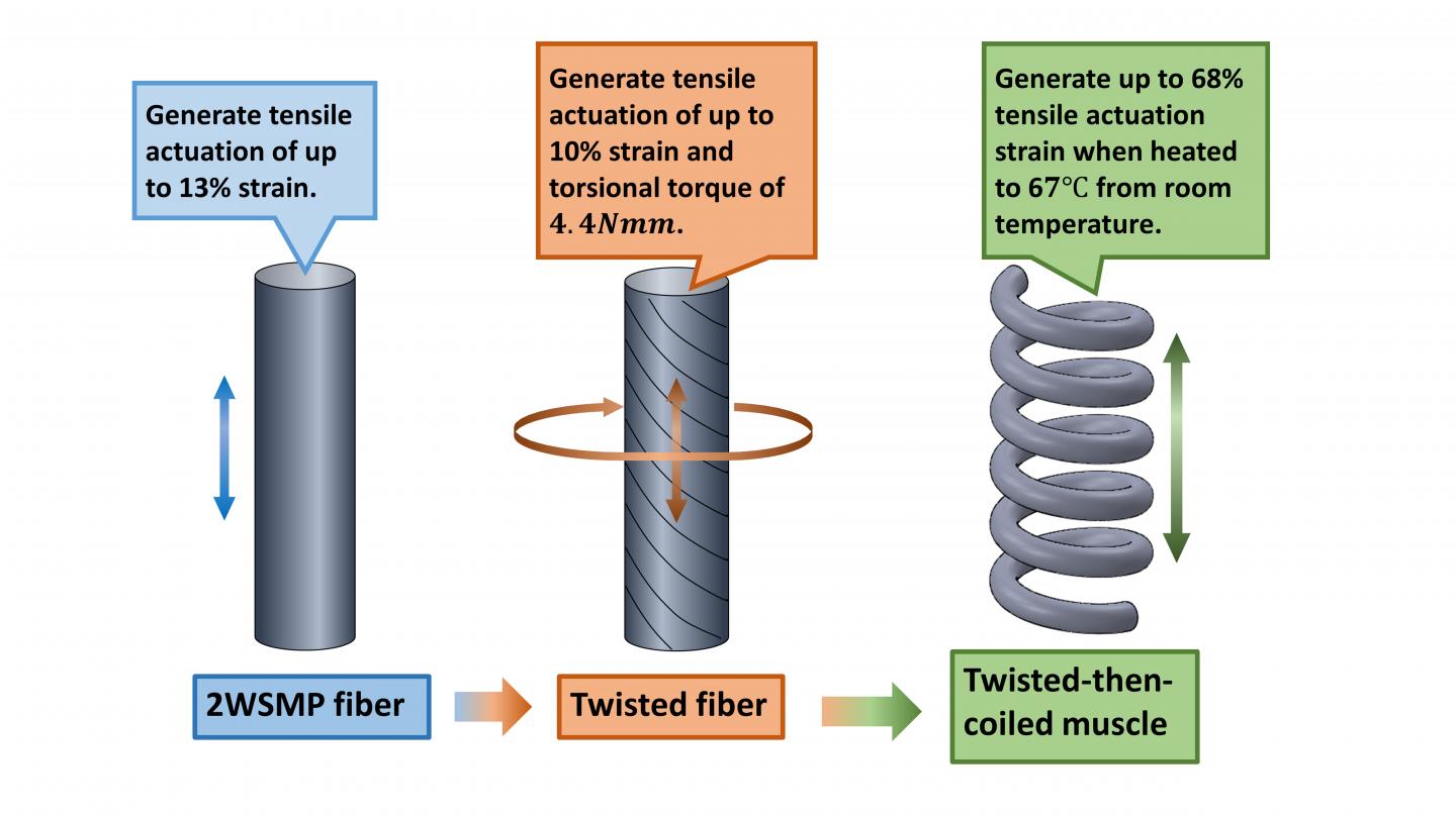 Fabrication Procedure And Actu [IMAGE] EurekAlert! Science News Releases