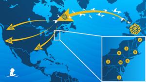 Tracking the spread of avian influenza