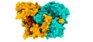 Image of the structure of the ACAD9-ECSIT_CTER complex (ECSIT in red).