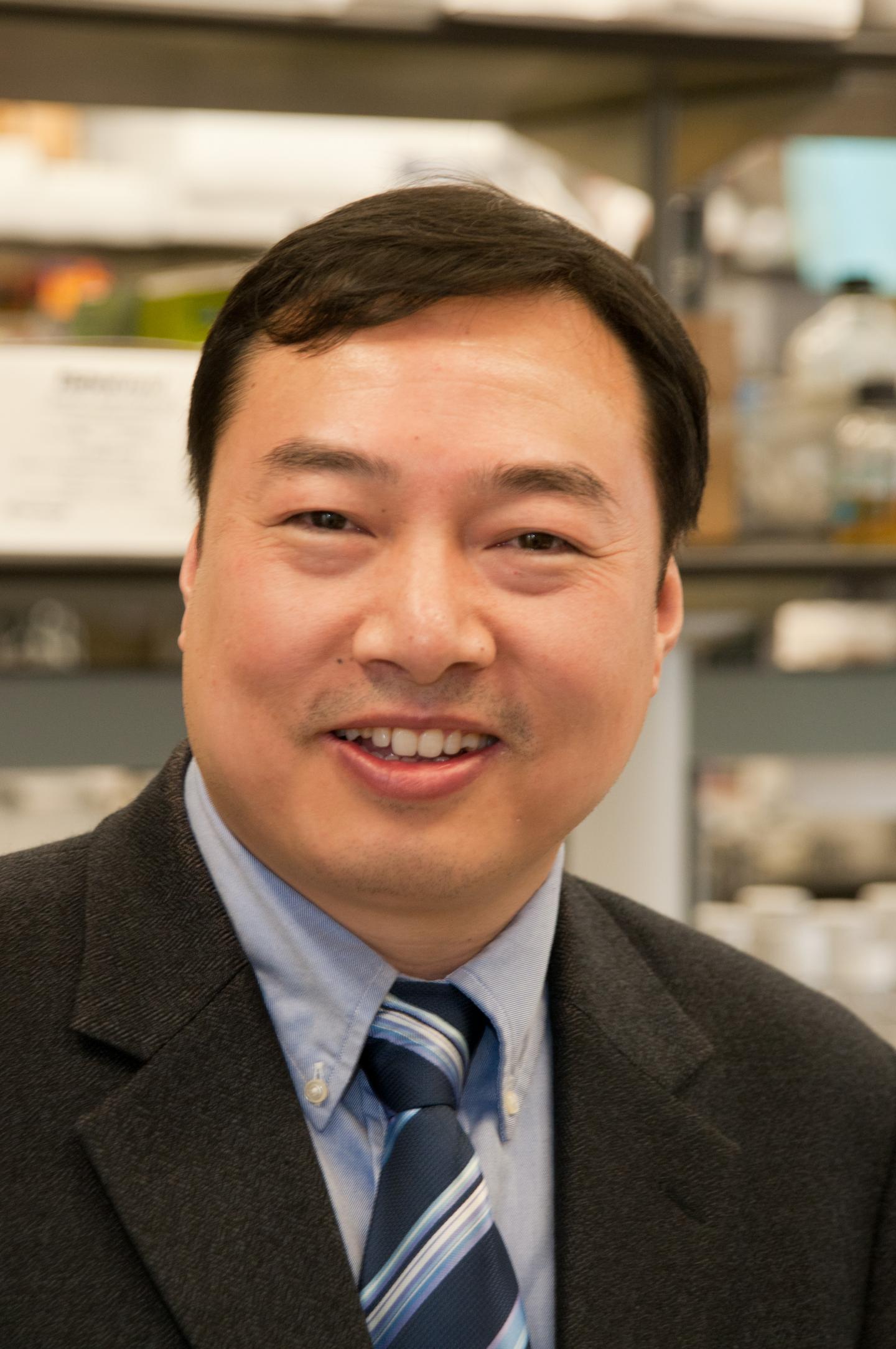 Dongsheng Cai, M.D., Ph.D.,  Albert Einstein College of Medicine 