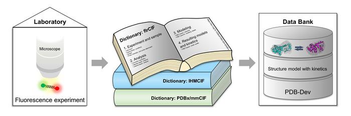 3D structures of biomolecules – “dictionaries” make fluorescence-based data accessible