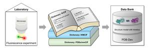 3D structures of biomolecules – “dictionaries” make fluorescence-based data accessible