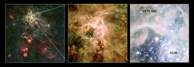 Star Cluster R136 Located in the Tarantula Nebula
