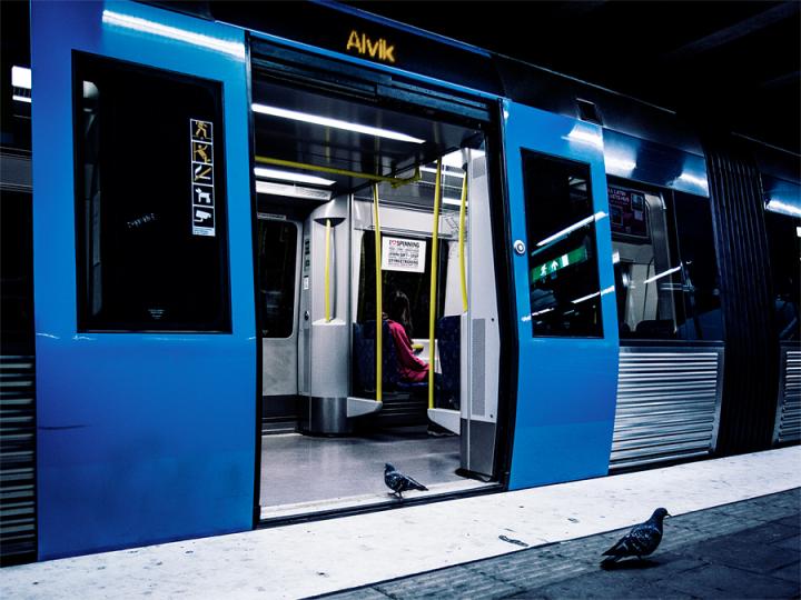 A Pigeon Taking the Subway instead of Flying