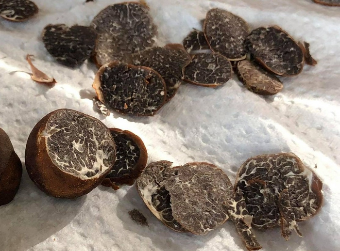 What makes the 'Appalachian truffle’ taste and smell delicious