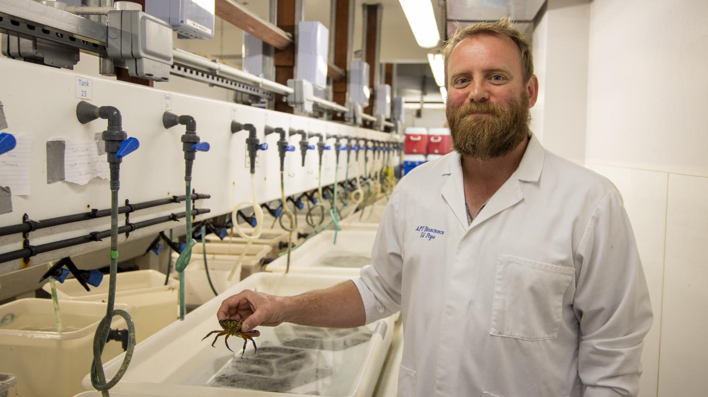 Ed Pope, Swansea University