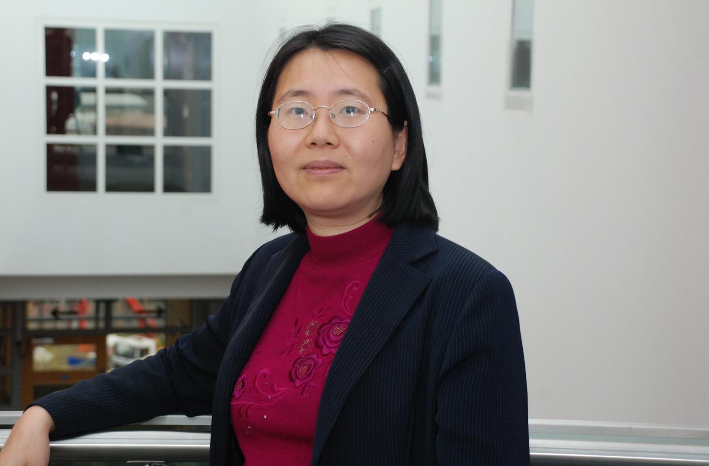 Professor Minhua Ma, University of Huddersfield