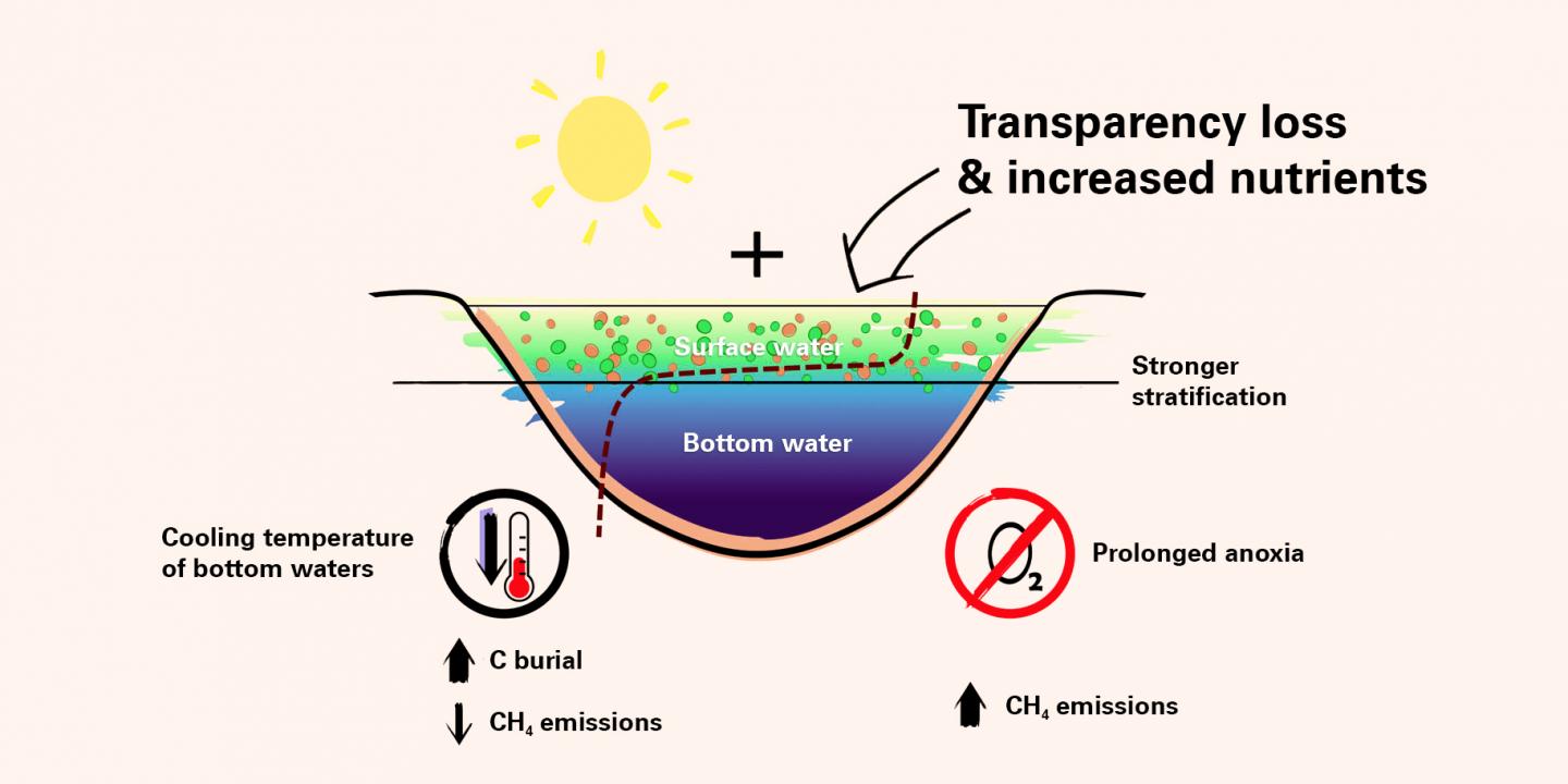 Unexpected Greenhouse Gas Effect in Lakes