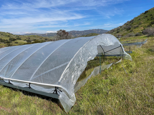 Drought exclusion experiment in Irvine, California