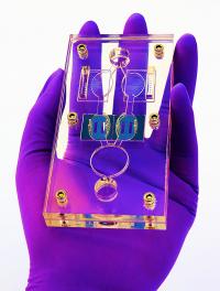 Reconfigurable Multi-Organ-on-a-Chip System Reliably Evaluates Chemotherapy Toxicity (3 of 5)