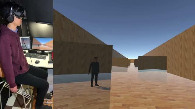 Sample Movie Demonstrating Virtual Walking